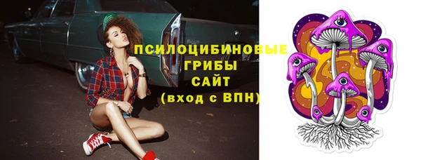 jwh Белокуриха